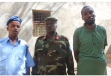 Dowladda oo soo bandhigay sarkaal  ka tirsanaa Al-Shabaab.