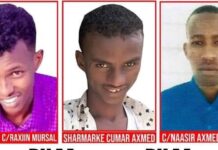 Dawlada Federaalka oo lacag dul dhigtay xubno ka Tirsan shabaab