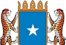 Dowladda oo sheegtay tallaabo inay ka qaadeyso Isbitaal Turki maamusho oo Muqdisho ku yaal