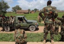 Ciidamo Hawlgal ka sameeyay Balcad iyo Afgooye