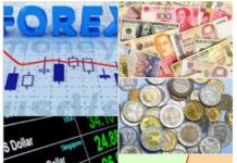 Ra’isul Wasaare Kheyre oo la sheegay in saamiga ugu weeyn Suuqa Forex oo leeyahay.