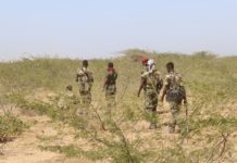 Ciidamada Dowladda oo howlgal ka wada Shabeellaha Hoose