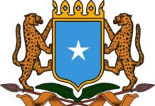 Dowladda oo mamnuucdey inay dalka soo galaan dadka ka imaanaya Afar dal