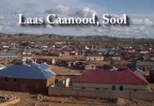 Taliye Ciidan oo Caawa la dilay & faah faahin kasoo baxeysa