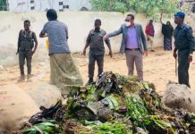 Maamulka Gobolka Banaadir oo fagaare ku gubay jaad farabadan