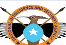 Fahad Yaasiin oo Magacaabay taliyaha cusub ee Nabad sugida Gobolka Benaadir