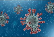 Qofkii ugu horreeyay oo Covid-19 ugu dhintay Muqdisho