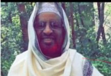 Soomaalida ugu dhimatay Yurub Covid-19 oo siikordhayo