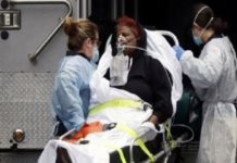 Ku dhawaad 50 ruux oo Soomaali ah Covid-19 ugu geeriyootay Yurub –