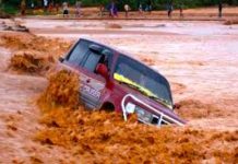 Roobab Mahiigaan ah oo kada’ay Qardho