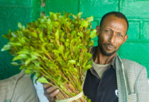 Puntland oo qaadki fasaxday xili Masaajidi xiran yihiin .