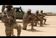 Dowladda Soomaaliya oo sheegtay in ay toogasho ku dishay xubno ka mid ah Shabaab