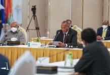 Yaa ku fashilmay Shirkii Jabuti?