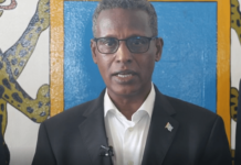 Dhageyso: Dawlada Federaalka Soomaaliya oo ka hadashay dib u soo laabashada Khadka Internetka