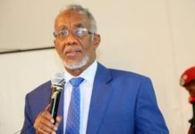 Dhageyso:Soomaaliland oo ka war bixisay  diyaarad shalay laga celiyay Hawada M/ Hargeysa