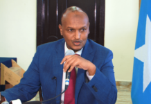 Dawlada Federaalka Soomaaliya oo Markii Ugu horeysay ka hadashay Cambareeyn ay kala kulantay Caalamka