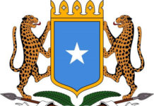 Dawlada Federaalka oo ka digtay Roob dabaylo wata oo ka da,a gobolada Koofureed