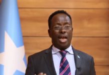 Dhageyso:Dawlada Federaalka oo ku dhawaaqday waqtiga la Furayo Dhammaan Duulimaadyada dibada