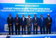 shirkii Dhuusamareeb oo la soo gabagaeeyay iyo Warmurtiyed laga soo saaray