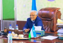 Madaxweyne ku xigeenka puntland oo ku baaqay joojinta colaad beeleed ka jirta gobolka Sool