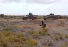 Ciidanka Danab oo Hawlgal ka sameeyay gobolka shabeelaha Hoose