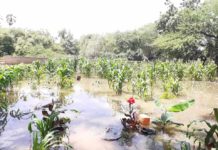 Wabiga Shabeelle oo kufatahay Magaalada Beledweyne ee gobolka Hiiraan