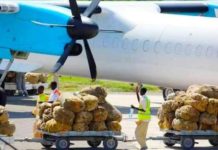 Shuruudaha ay DFS ku xirtay qaadista xayiraada Jaadka Kenya oo la shaaciyey