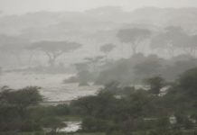 Puntland oo Digniin Culus ka soo saartay Roobab la Filayo in ay ka da,aan degaano ka Tirsan gobolada Sanaag iyo Bari