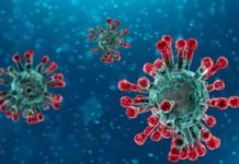 in badan 35 qof oo Cudurka Covid19 oo Ugu Xanuun sanaya Puntland