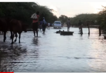 Wabiga Shabeelle oo ku fatahay Magaalada Beledweyne