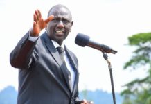 Kenya oo ka hadashay go,aanka Dawlada Federaalka Soomaaliya ay ku joojisay Qaadka Miirowga