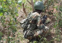 Ciidanka Danab oo guulo ka sheegtay Hawlgalo ay ka sameeyeen Gobolka shabeelaha Hoose