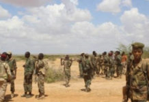 Ciidanka Xoogga Dalka oo guulo ka sheegtay Hawlgalo ay ka sameeyeen gobolka Shabeelaha Hoose