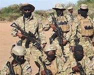 Taliyaha Cusub ee Ciidanka Danab oo la magacaabay