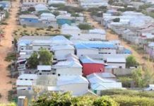 Gudoomiyhii Waaxda 5aad ee degmada Kaxda oo la dilay