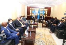 Wafdi ka socda Beesha Caalamka oo Magaalada Garoowe kula kulmay Madaxweyne Deni