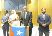 Madaxweyne Lafta Gareen oo hadal Muhim ah u Jeediyay Jaaliyada Soomaaliyeed  ee Magaalada Istanbuul