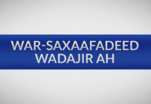 Wadamada Besha Caalamka ee Taageera Soomaaliya oo Warsaxaafadeed ka soo saaray Doorashooyinka Soomaaliya