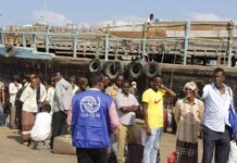 Puntland oo Diiwaan gelisay Qaxooti ka yimid Dalka  Yemen