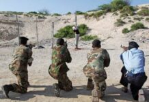 Soomaliland oo dil Toogasho ah ku fulisay 7 Ruux oo ay ku Eedeysay in dil ay geysteen