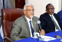 Madaxweyne ku Xigeenka Maamulka Puntland oo shaqo joojin ku sameeyay Wasiirka Kalluumeysiga Puntland