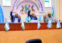 Golaha Wakiilada Puntland oo u ogolaaday shirkadda DPWorld ay maamusho Dekadda Boosaaso