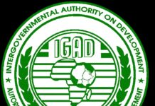 Maxuu yahay Ajendaha Shirka IGAD Ee Djibouti?.