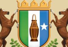Puntland oo Amartay shirkadaha Isgaarsiinta in ay Fuliyaan Amar lagu xadidayo Lacagaha Mobilada loo Adeegsado