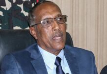 Madaxweyne Muuse Biixi oo ka hadlay kulamadii uu la yeeshay Madaxweyne Uhuru Kenyata