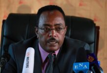 Dowladda Etoobiya oo sheegtay in Ciidankeeda ay dileen shaqaale ka Tirsan Qaramada midoobay