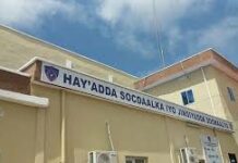 Dawlada Soomaaliya oo Amaro ku soo rogtay Dadka Kenyaan ka ah ee Socdaalka ku imaanaya Soomaaliya