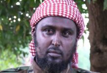 Puntland oo lacag duldhigtay madaxa Afhayeenka Al Shabaab, Cali Dheere