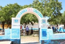 Faah Faahino ka soo baxaya Qarax khasaare geystay oo ka dhacay Degmada Diinsoor eegobolka Baay