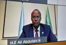 Maxaa ka soo baxay Kulanka Cali Guudlaawe iyo Wakiilada Beesha Caalamka ?